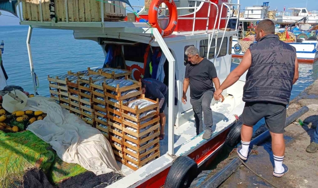 Batı Karadeniz'de avlanan 50 tekneden 10'u balıkla dönüyor