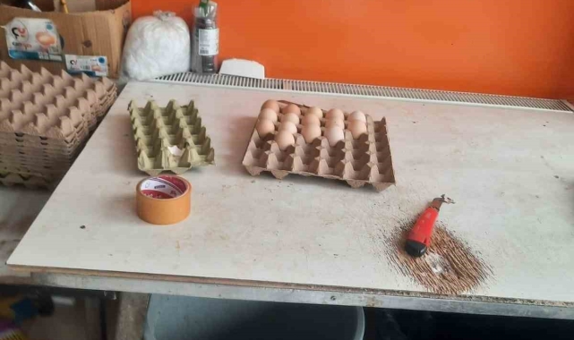 Bilecik'te zabıta, vatandaşı 'köy yumurtası' diye kandıran satıcıyı yakaladı