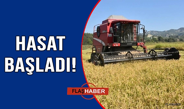 BOYABAT’TA HASAT ZAMANI!
