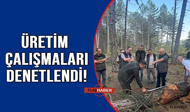 BOYABAT’TA ORMAN DENETİMİ!