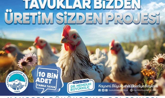 Büyükşehir, kırsaldaki kadın üreticilere 10 bin tavuk dağıtacak