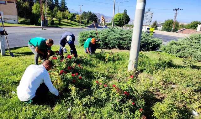 Büyükşehir, yabancı otlarla mücadele ve bakım çalışmalarına hız verdi
