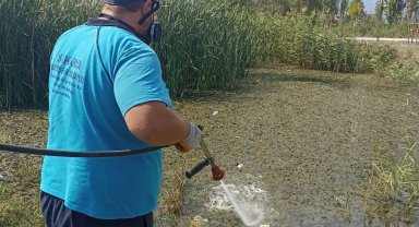 Büyükşehir'in müdahale timi her köşe başında haşereyle mücadelede