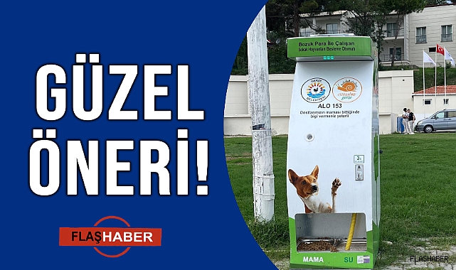 CAN DOSTLARI İÇİN YERİNDE ÖNERİ!