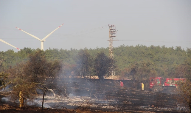 Çanakkale'de tarım arazisinde yangın