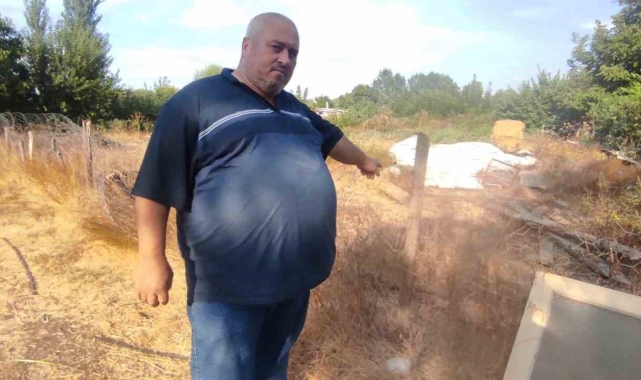 Çanakkale&#039;de telefonla görüntülediği Bozyörük yılanının saldırısına uğradı