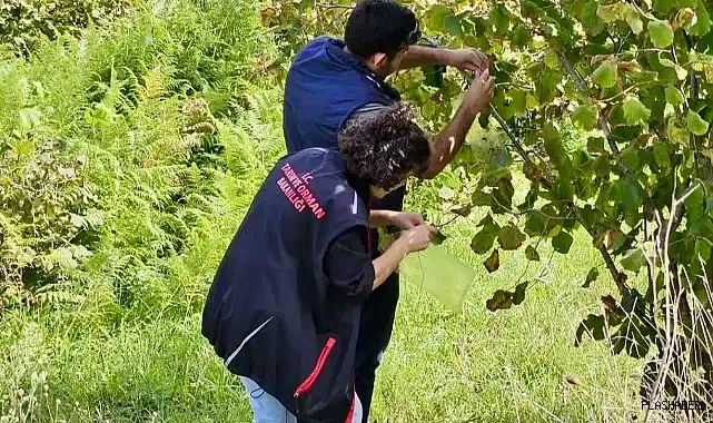 CİDDİ ZARARA YOL AÇIYOR!