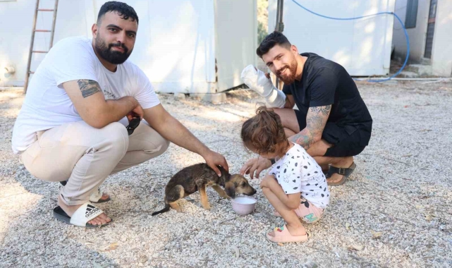 Çuvala konulup, çöplük alana terk edilen köpeği vatandaşlar kurtardı