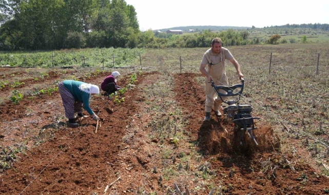 Deneme amaçlı böğürtlen dikti, şimdi siparişlere yetişemiyor
