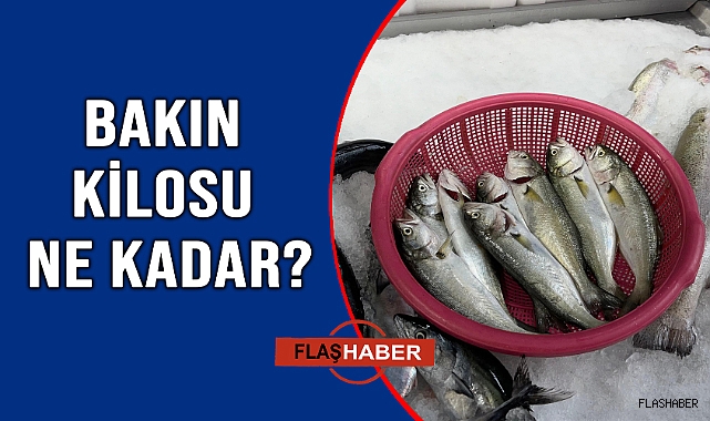 DENİZLERİN PRENSİ BOY GÖSTERDİ!