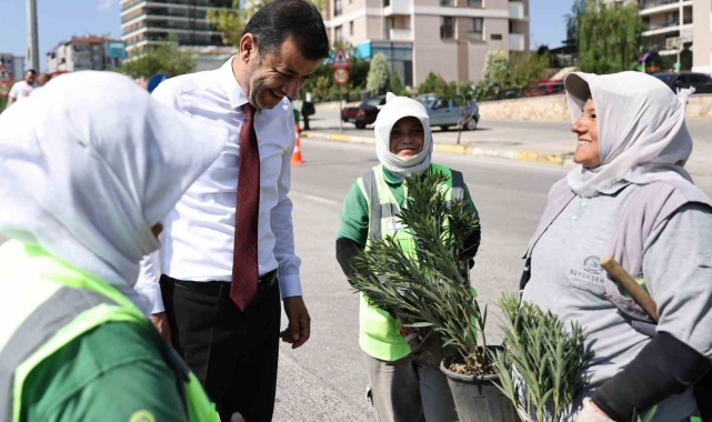 Denizli'de susuzluğa dayanıklı yeşil bitki dönemi başlıyor