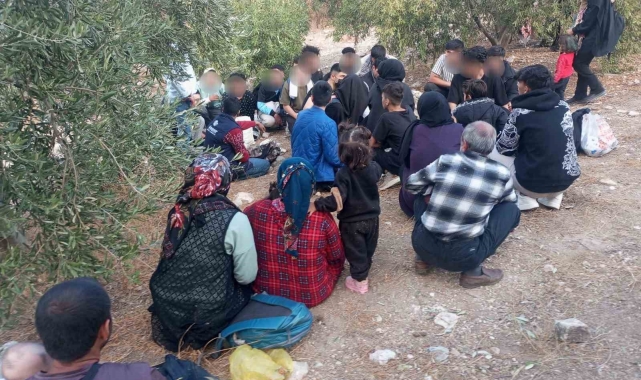 Didim ve Söke'de 70 düzensiz göçmen yakalandı