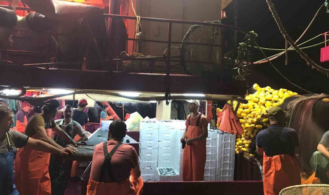 Didim'de 'Hamsi Kotası' denetimi yapıldı