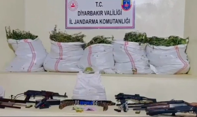 Diyarbakır'da 15 milyon 882 bin kök kenevir ve skunk, 2 buçuk ton kubar esrar ele geçirildi: 36 gözaltı