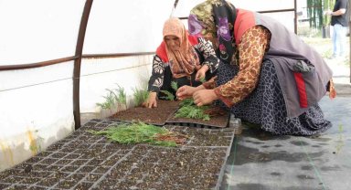 Düzce'de tarımda yenilikçi adımlar