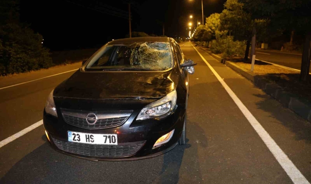 Elazığ'da otomobilin çarptığı kadın kurtarılamadı