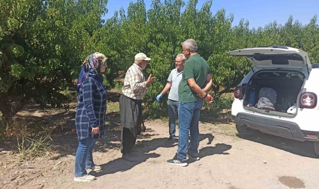 Elazığ'da şeftali bahçelerinde zararlı kontrolleri devam ediyor