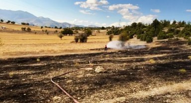 Emet'te yüksek gerilim hatlarına çarpan kuşlar arazi yangınına neden oldu