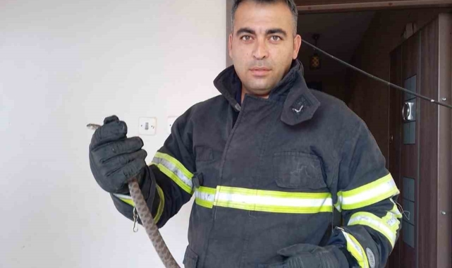 Erzin'de eve giren yılanı itfaiye yakaladı