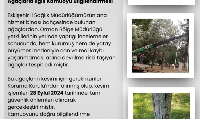 Eskişehir İl Sağlık Müdürlüğü'nün bahçesindeki riskli ağaçlar kesildi