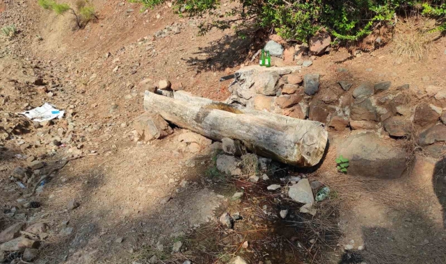 Fethiye'de ormanda terk edilmiş bebek bulundu