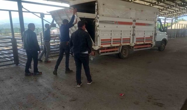 Gediz'de hayvan pazarı kontrollü olarak açıldı
