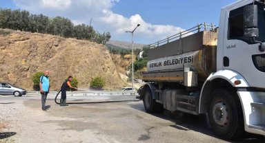 Gemlik'te dört koldan temizlik