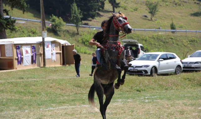 Gökyüzü Gözlem Etkinliği yapılamayınca katılımcılar doğanın tadını çıkardı