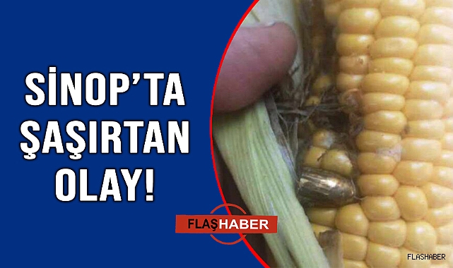 GÖZLERİNE İNANAMADI!