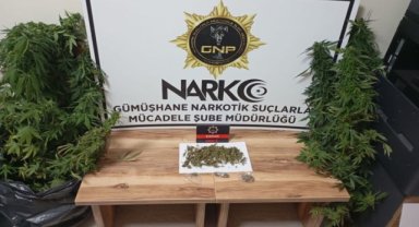 Gümüşhane'de uyuşturucu operasyonu