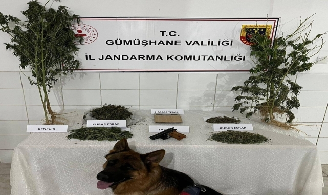Gümüşhane'de uyuşturucu operasyonunda yakalanan bir kişi tutuklandı