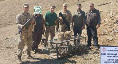 Hakkari'de 37 kınalı kekliğe el konuldu