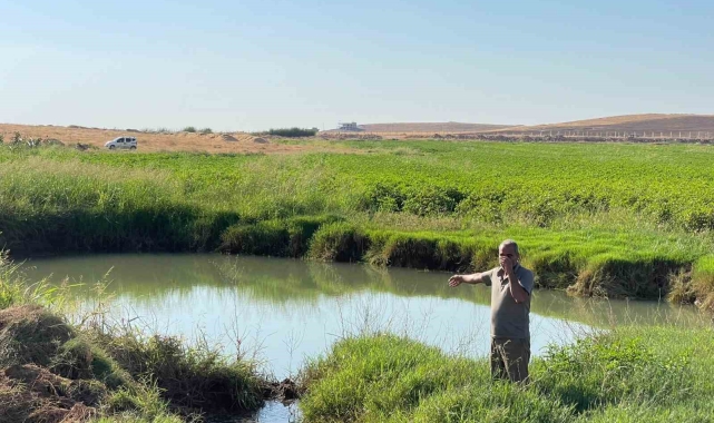 Harran Ovası'nda oluşan dev obruklar çiftçileri korkutuyor