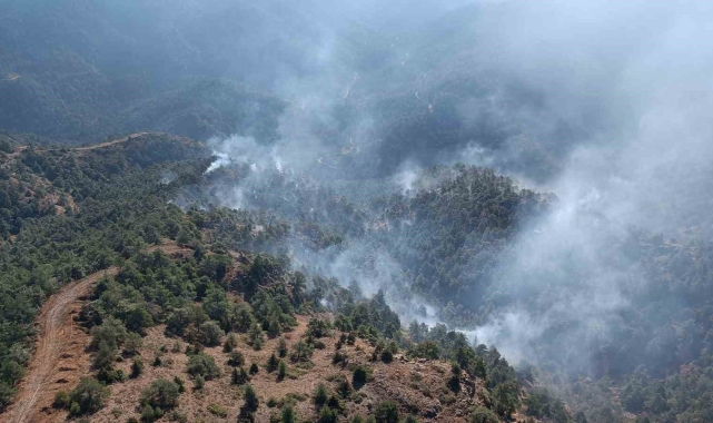 Hatay'da gece saatlerinde başlayan orman yangını kontrol altına alındı