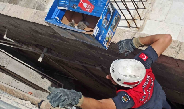 Havalandırma boşluğuna düşen yavru kediler kurtarıldı