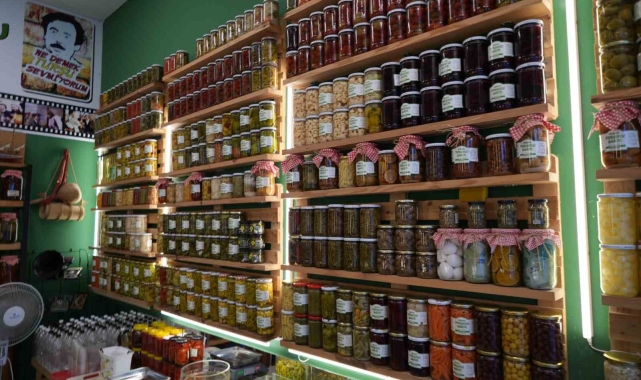 Her şeyin turşusunu kurdu