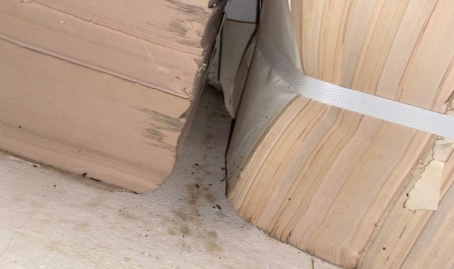 Hijyen denetiminde çıkan fare şok etti