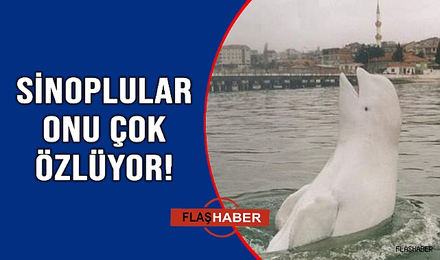 HİKAYESİNİ HİÇ MERAK ETTİNİZ Mİ?
