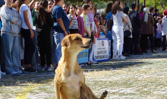 Hisarcık'ta İlköğretim Haftası kutlamalarında sevimli köpek ilgi odağı oldu