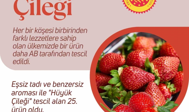 Hüyük çileği AB'den tescil aldı
