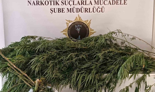 İkametinden bin 248 gram esrar çıktı, tutuklandı