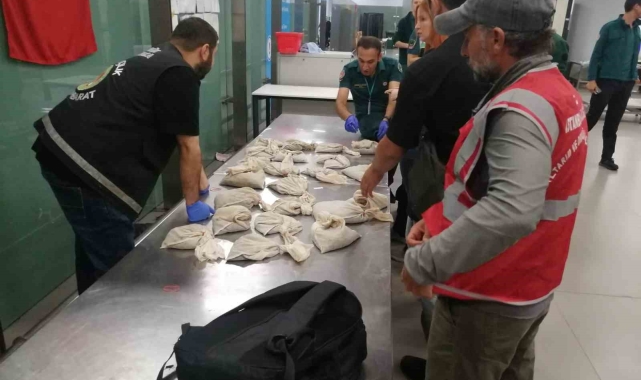 İstanbul Havalimanı'nda 20 bin adet canlı tıbbi sülük ele geçirildi