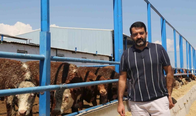 İthal büyükbaş, et fiyatlarını dengede tutuyor