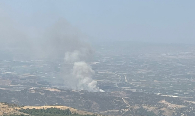 İzmir'de ormanlık alanda yangına havadan ve karadan müdahale başladı