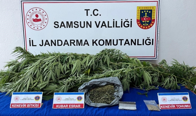 Jandarma ekiplerince uyuşturucu madde ele geçirildi