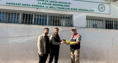 Jandarmadan doğan yavrusuna şefkat eli