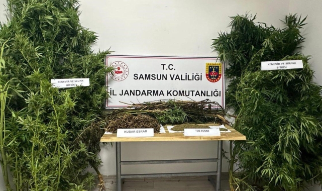 Jandarmadan uyuşturucu operasyonu: 2 gözaltı