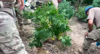 Jandarmadan uyuşturucu ve kaçakçılık operasyonu: 11 tutuklama