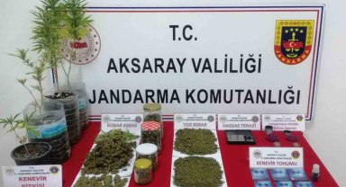 Jandarmanın suçüstü yaptığı uyuşturucu taciri tutuklandı