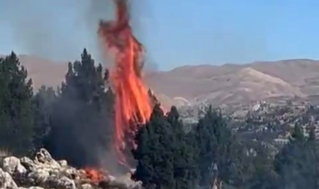 Kahramanmaraş'ta orman yangını söndürüldü